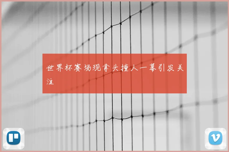 世界杯赛场现拿头撞人一幕引发关注