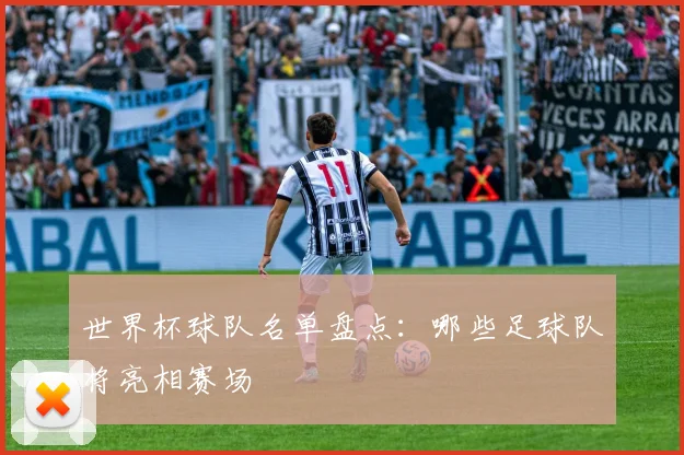 世界杯球队名单盘点:哪些足球队将亮相赛场