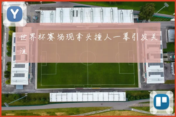 世界杯赛场现拿头撞人一幕引发关注