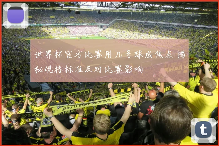 世界杯官方比赛用几号球成焦点 揭秘规格标准及对比赛影响