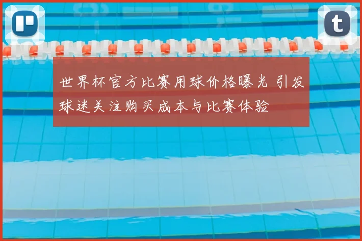 世界杯官方比赛用球价格曝光 引发球迷关注购买成本与比赛体验