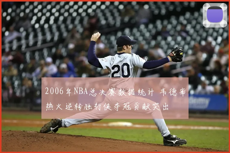 2006年NBA总决赛数据统计 韦德率热火逆转独行侠夺冠贡献突出