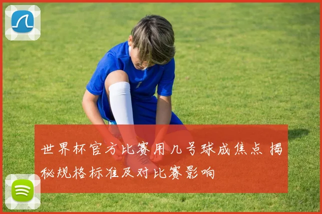 世界杯官方比赛用几号球成焦点 揭秘规格标准及对比赛影响